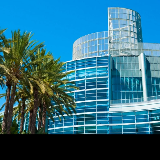 Anaheim, California, USA背卡
