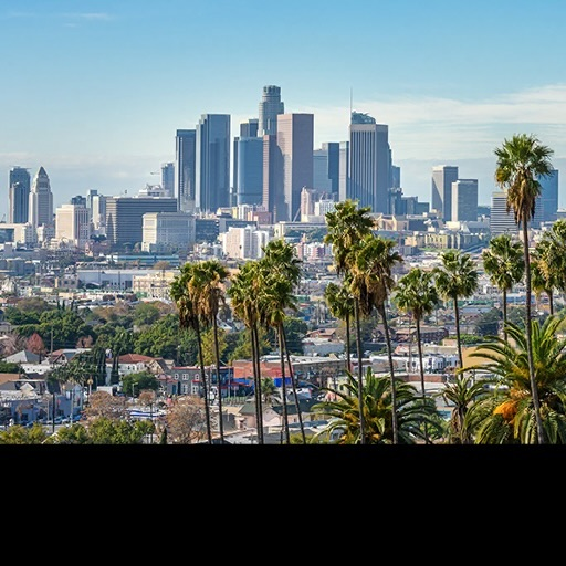 Los Angeles, California, USA背卡