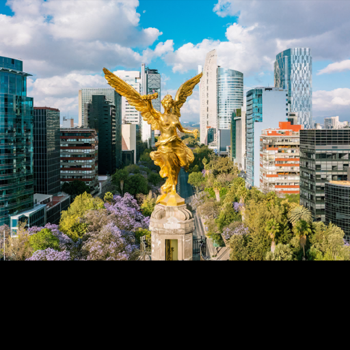 Mexico City, Mexico背卡