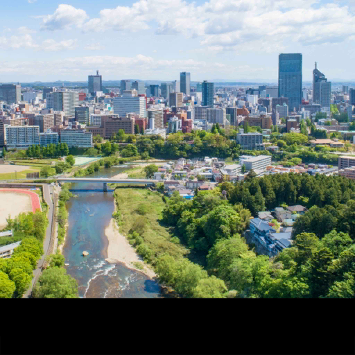 Sendai, Japan背卡