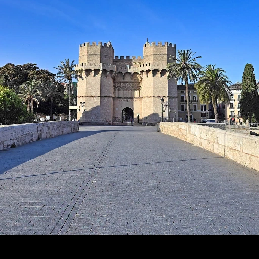 Valencia, Spain背卡