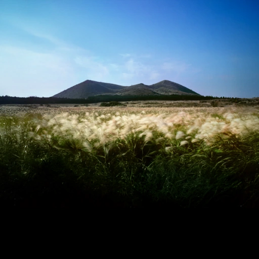 Jeju Island, South Korea背卡