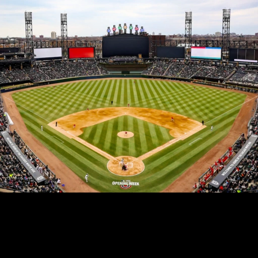 Rate Field, Chicago, Illinois, USA背卡