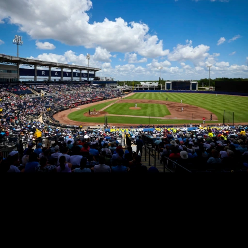 Steinbrenner Field, Tampa, Florida, USA背卡