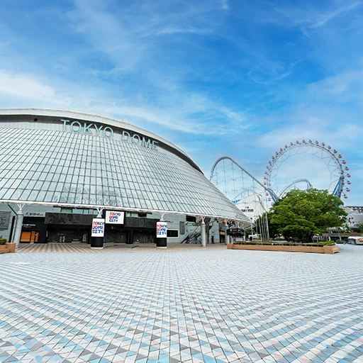 Tokyo Dome, Tokyo, Japan背卡