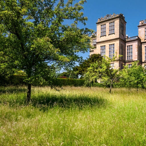 Hardwick, Derbyshire背卡