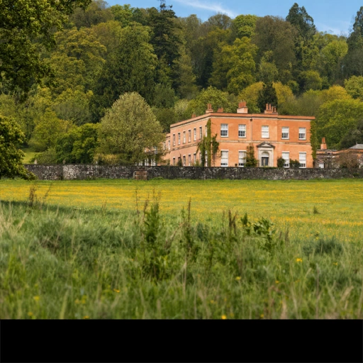 Killerton, Devon背卡
