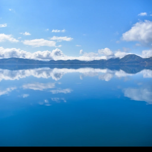Akita, Japan背卡