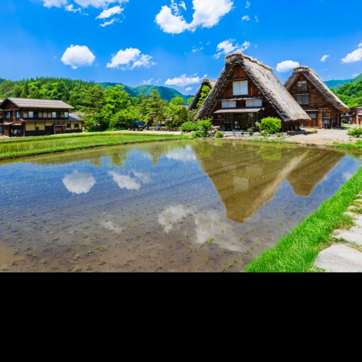 Gifu, Japan背卡
