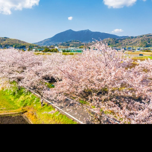 Ibaraki, Japan背卡