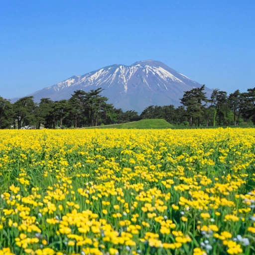 Iwate, Japan背卡