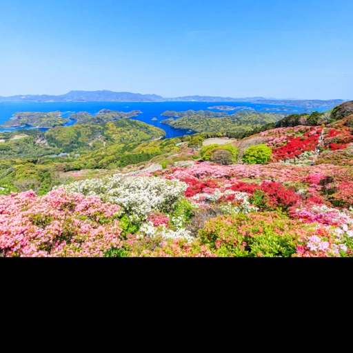 Nagasaki, Japan背卡