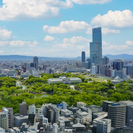 Osaka, Japan背卡