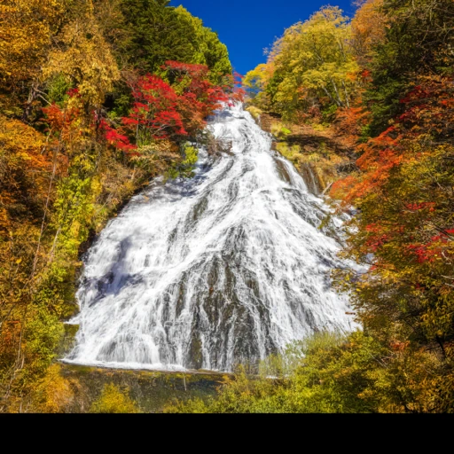 Tochigi, Japan背卡