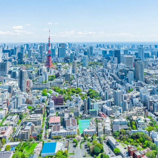 Tokyo, Japan背卡
