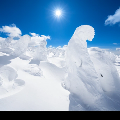 Yamagata, Japan背卡