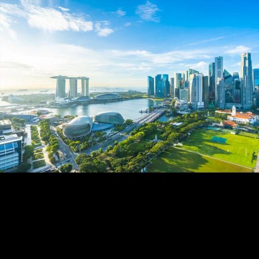 Singapore背卡