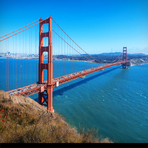 San Francisco, California, USA背卡