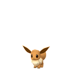 伊布