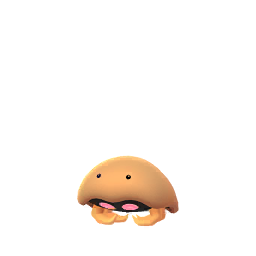 化石盔