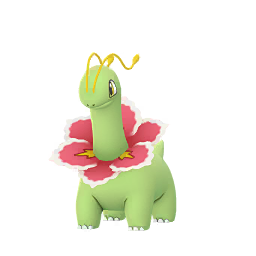 大竺葵