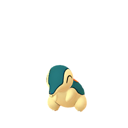 火球鼠