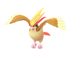 大比鳥