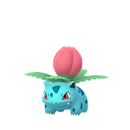 妙蛙草