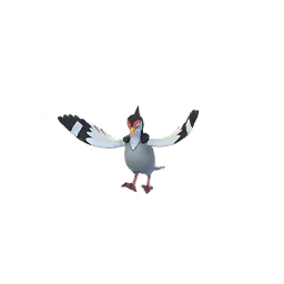 咕咕鴿