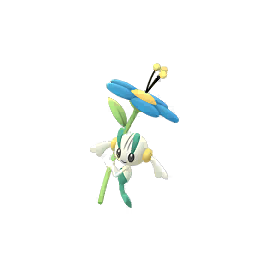 花葉蒂（藍羽毛）