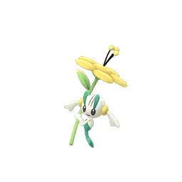 花葉蒂（黃羽毛）