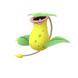 大食花